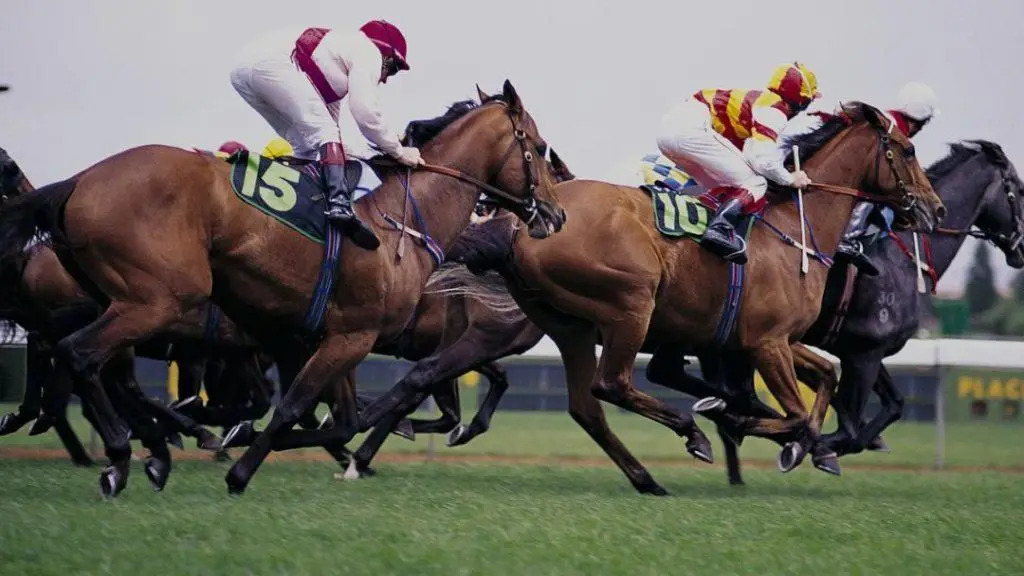 happy valley 14/06/2023 top picks sport preview(1)