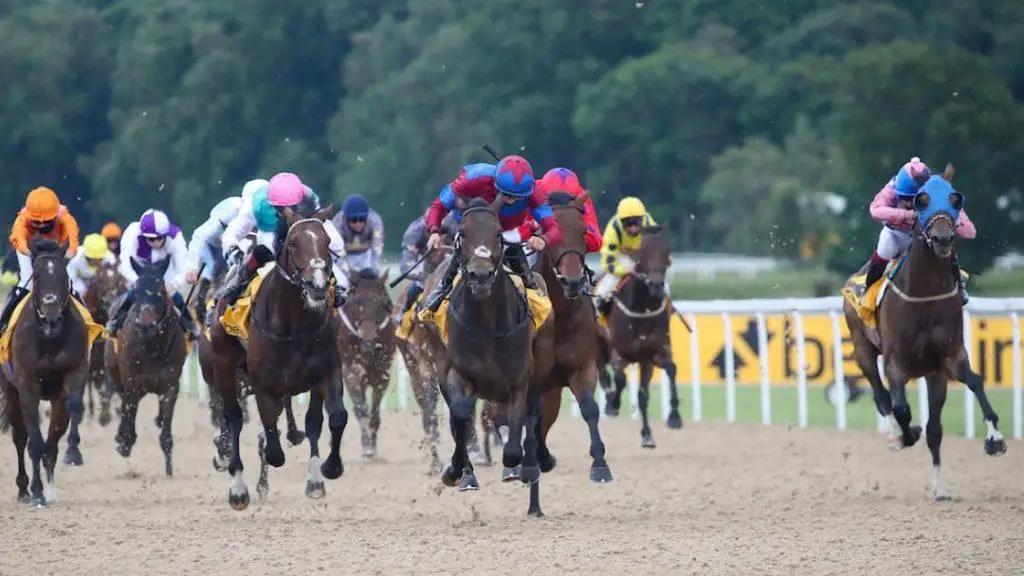 the northumberland plate history winners and recent trends sport preview(1)