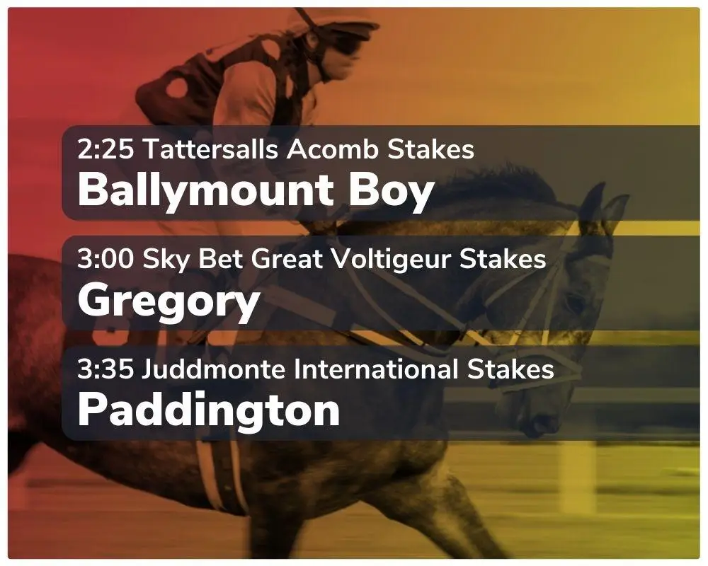york racecourse 23 08 2023 sport preview 1