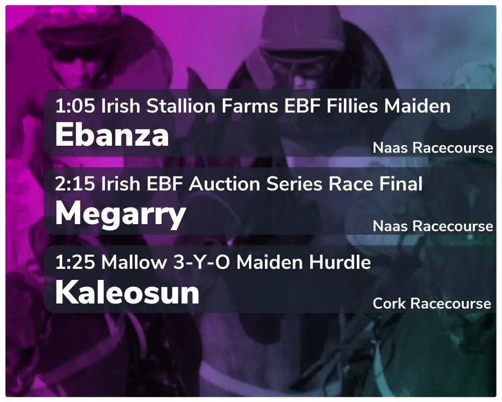 naas cork racecourse betting tips 15 10 2023 sport preview (1)