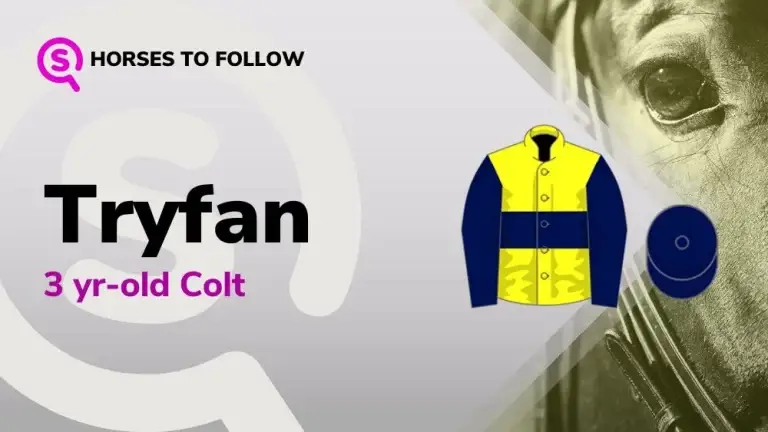 tryfan horses to follow sport preview