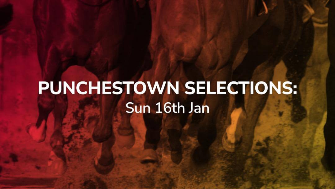 Sport Preview: Punchestown Selections - Sun 16th Jan 2022