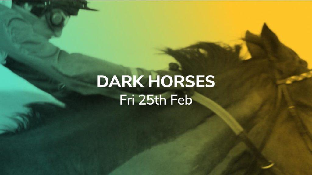 dark horses 25/02/2022 sport preview