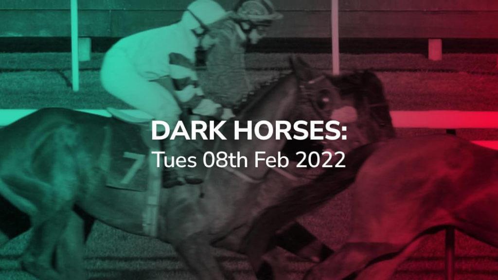 Sport Preview: Dark Horses - Tues 08th Feb 2022