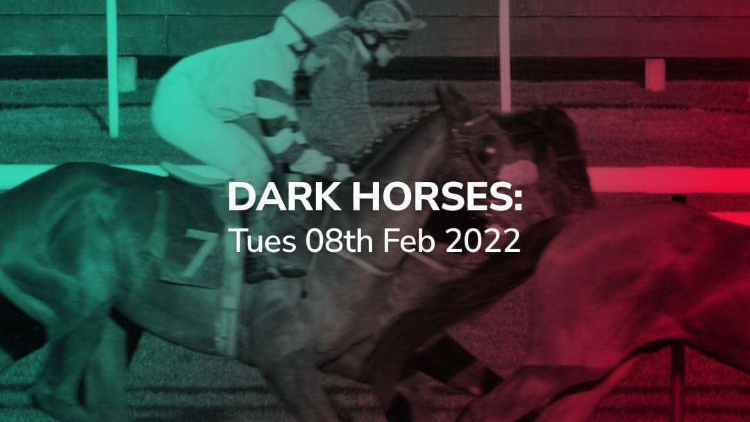 Sport Preview: Dark Horses - Tues 08th Feb 2022