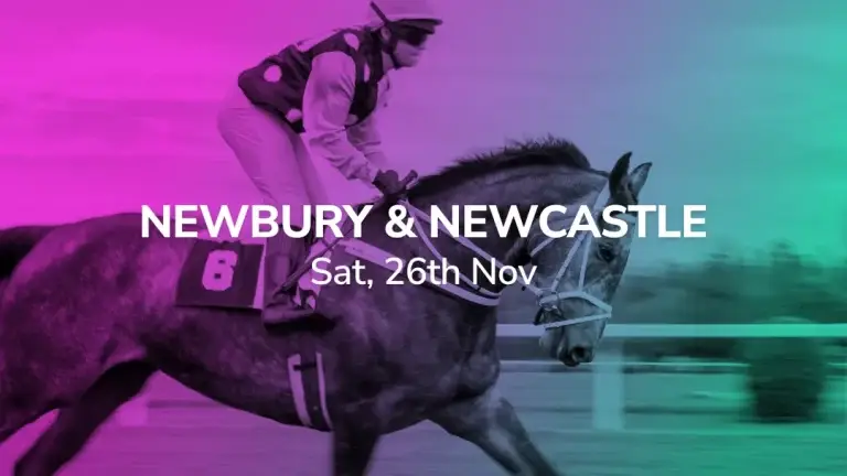 Sport Preview: Newbury & Newcastle - Sat 26th Nov 2022