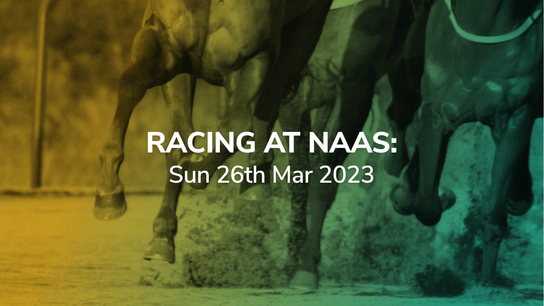 2023-03-29_SP naas Header