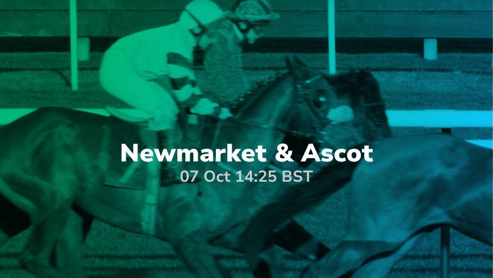 Newmarket And Ascot Racecourse 07102023 Betting Tips