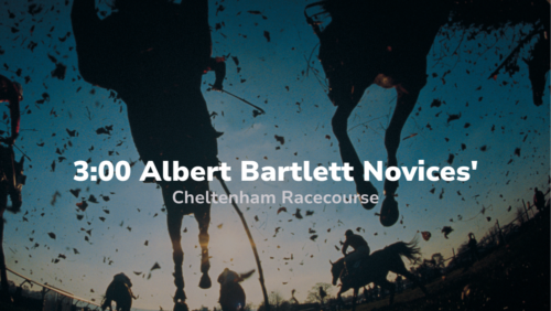 300 Albert Bartlett Novices Hurdle Cheltenham