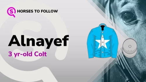 alnayef horses to follow sport preview