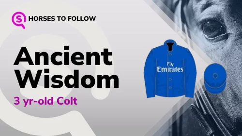 ancient wisdom horses to follow sport preview