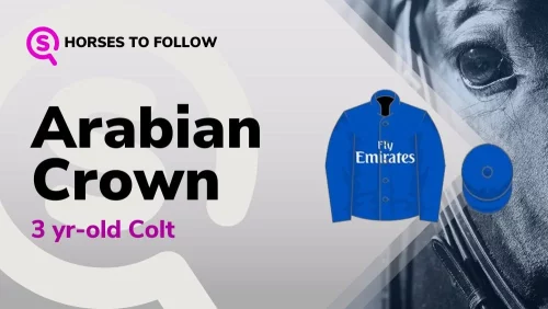 arabian crown horses to follow sport preview