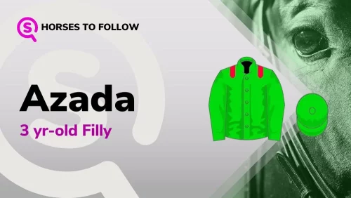 azada horses to follow sport preview