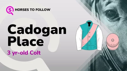 cadogan place horses to follow sport preview