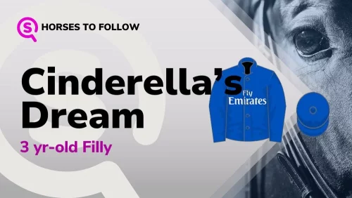 cinderellas dream horses to follow sport preview