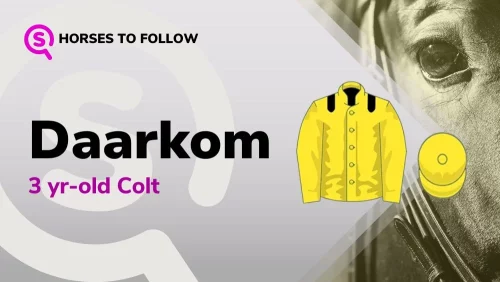 daarkom horses to follow sport preview