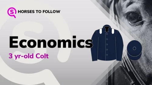 economics horses to follow sport preview