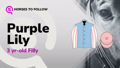 purple lily horses to follow sport preview