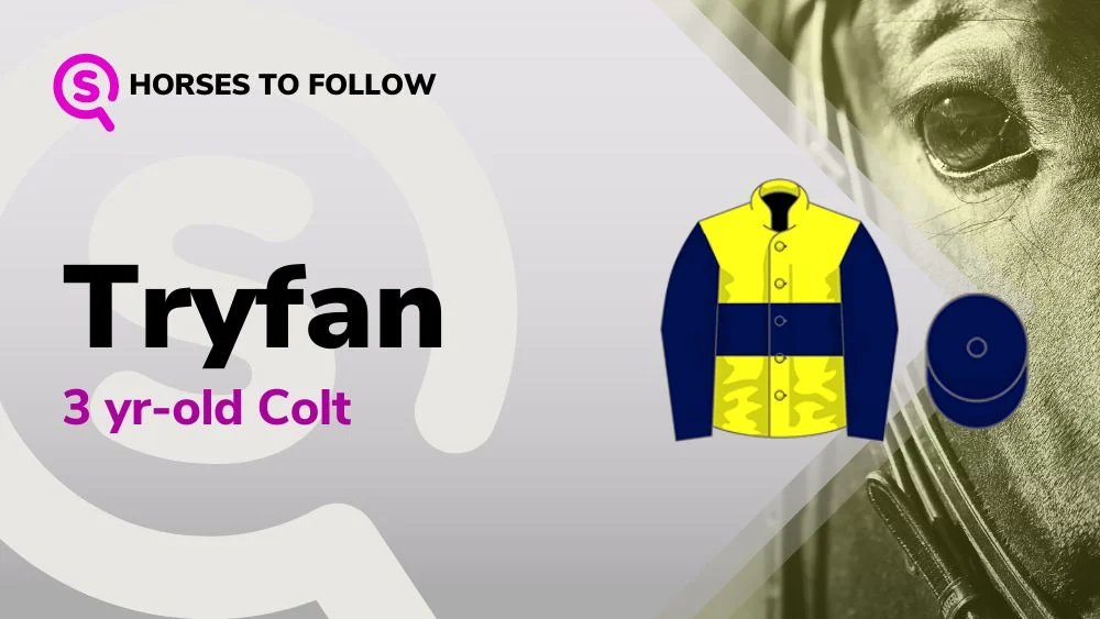 tryfan horses to follow sport preview