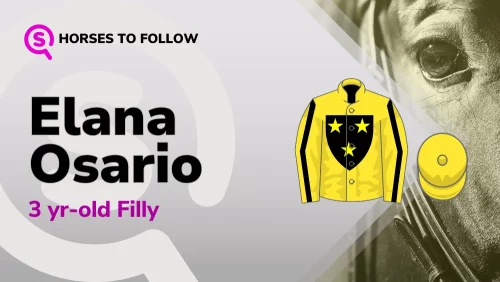 elana osario horses to follow sport preview