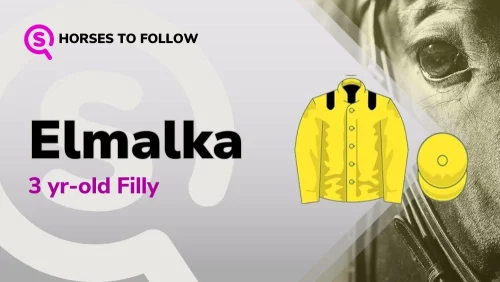 elmalka horses to follow sport preview