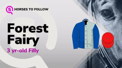 forest fairy horses to follow sport preview