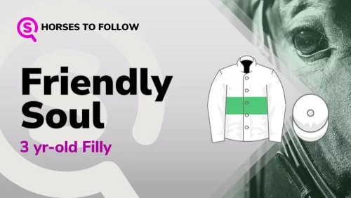 friendly soul horses to follow sport preview