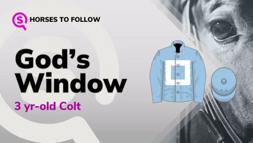 gods window horses to follow sport preview