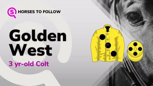 golden west horses to follow sport preview