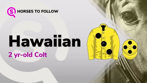 hawaiian horses to follow sport preview