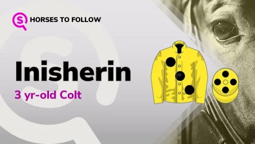 inisherin horses to follow sport preview