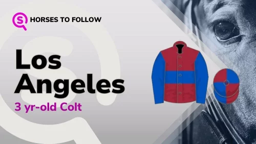 los angeles horses to follow sport preview