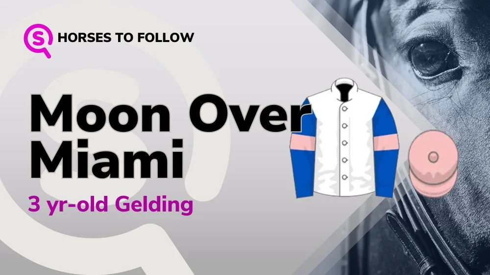moon over miami horses to follow sport preview
