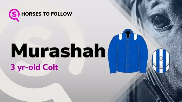 murashah horses to follow sport preview