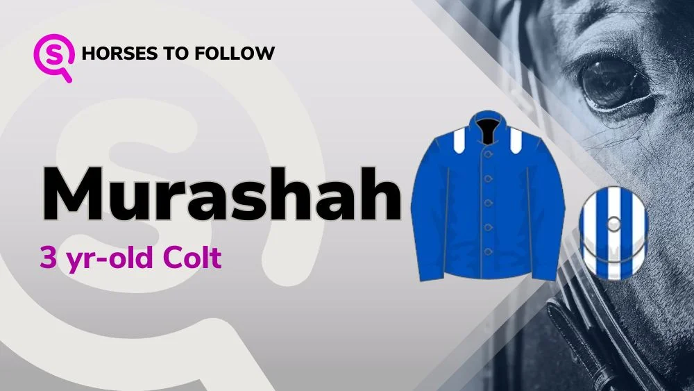 murashah horses to follow sport preview