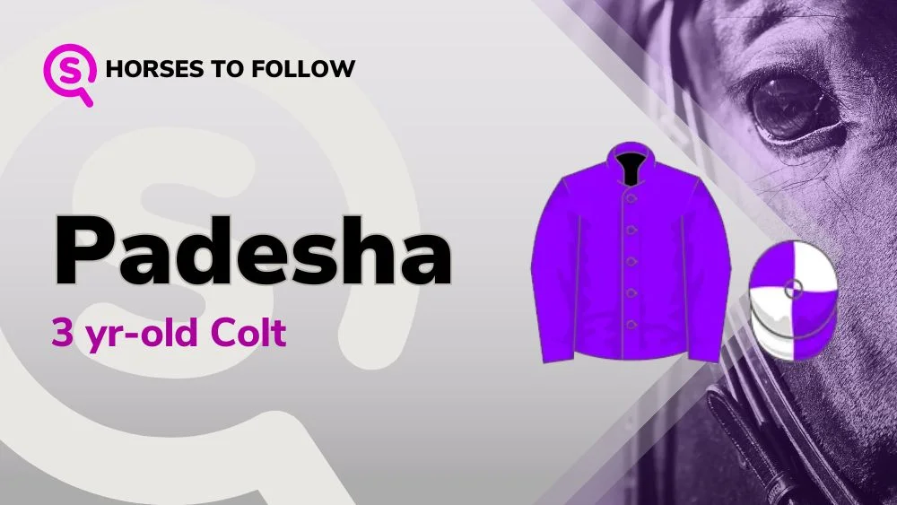 padesha horses to follow sport preview