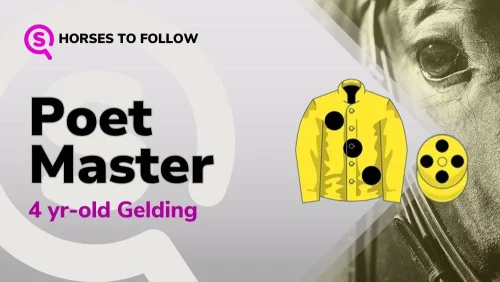 poet master horses to follow sport preview