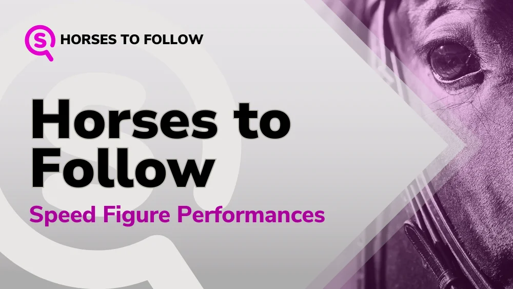 Horses To Follow - Newmarket and Chester Speed Figure Performances 14052024 sport preview