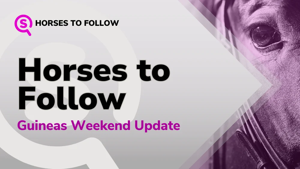 horses to follow update guineas weekend 06/05/2024 sport preview