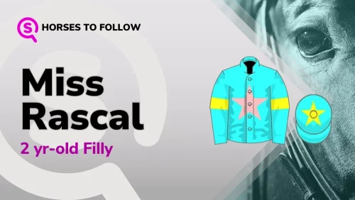 miss rascal horses to follow sport preview