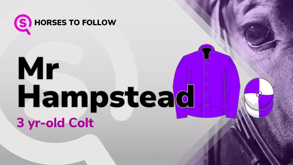 MrHampstead-horses-to-follow-sport-preview