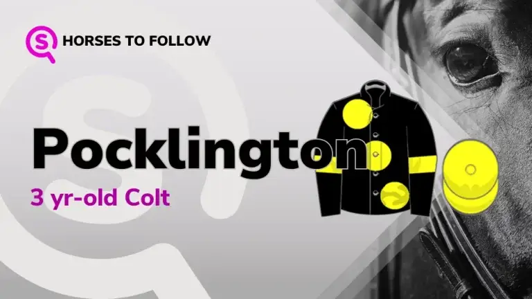 Pocklington-horses-to-follow-sport-preview