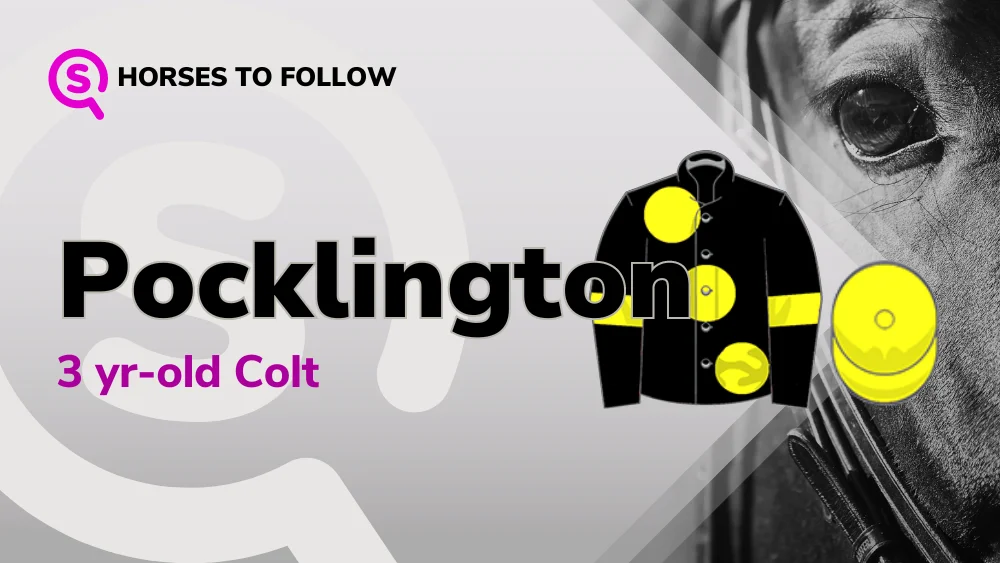 Pocklington-horses-to-follow-sport-preview