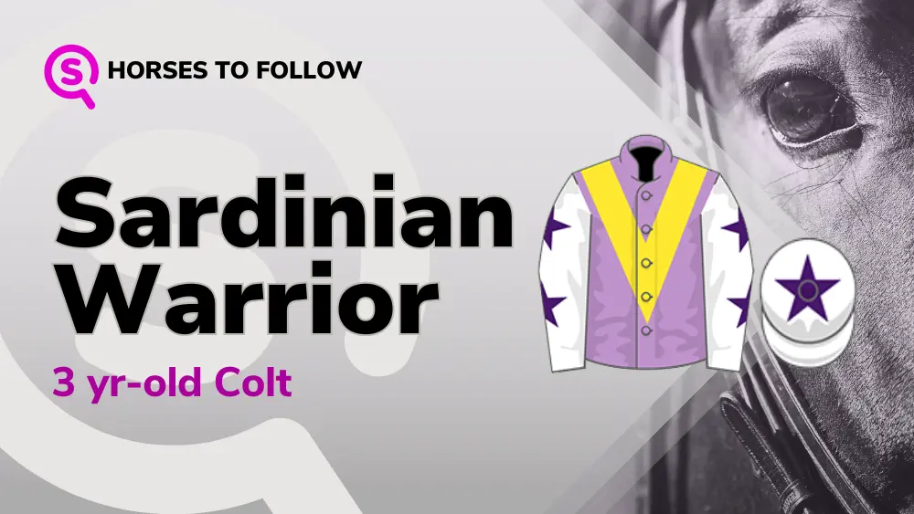 Sardinian-Warrior-horses-to-follow-sport-preview