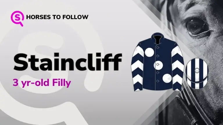 Staincliff-horses-to-follow-sport-preview