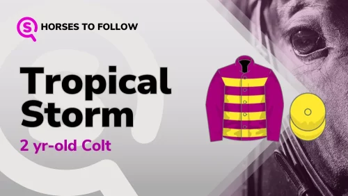 tropical storm horses to follow sport preview