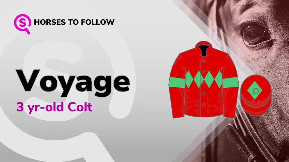 Voyage-horses-to-follow-sport-preview
