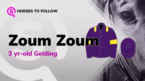 ZoumZoum-horses-to-follow-sport-preview