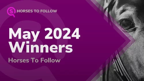 may 2024 winners horses to follow sport preview